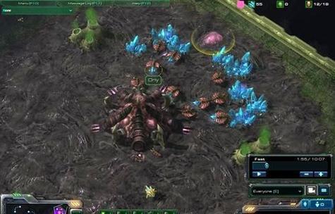 星际争霸2虚空之遗虫族内战打法（掌握战术技巧）