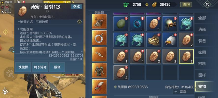 揭秘以妄想山海（了解游戏中宠物属性的重要性与查看方法）