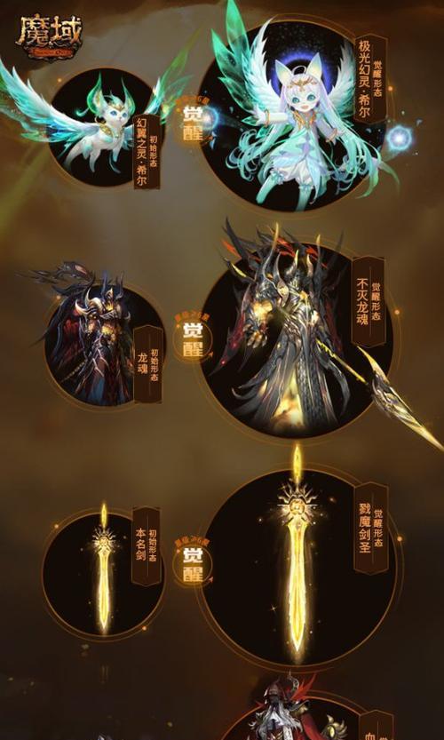魔域本职业魂宠作用是什么？